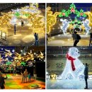 온천천시민공원 붓드레아 이미지