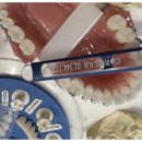 서울퍼펙트치과의원 이미지