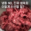 육우 vs 한우 차이｜소소한형제 육우 육회·육사시미 내돈내산 후기 (feat. 야매 카니보어)