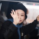 생생조개 이미지