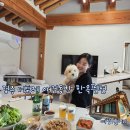 경주 더포레 한옥펜션 애견동반펜션 엄마랑 봄이랑 마당있고 깨끗해서 좋았던 감성 후기