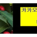 상현서예한문학원