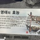 명태천국명태조림감자탕 이미지