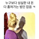 초당하우스 이미지