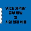 AI자격증 AICE 따라잡기 (초등) | AICE 자격증 공부 방법 및 시험 일정 비용 및 후기