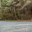 숲속에 안뜰 | [캠핑일기] 서울 근교 벚꽃캠핑장 숲속에안뜰