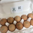 신기농원 | [후기]양촌농원 무항생제 동물복지란 난각번호1번란 덕분에 계란 거부증 해결했어요!