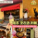 코리코 | 제주 코리코 카페 후기 | 지브리 감성 가득했던 제주 브런치 카페, 혼자 가도 행복했던 곳