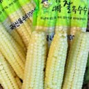 두천농장 이미지