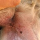 창녕동물병원 이미지