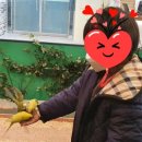 앵무새카페플레이버드 - 무안군 대죽동로16번길 22 | 앵무새카페플레이버드