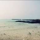 상록수민박 이미지