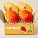 망고 이미지