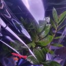 도리당구장 이미지