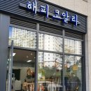 해피코알라