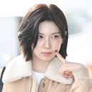 배이