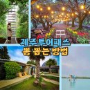 주식회사 제주테마투어 | 제주투어패스 살까 말까? - 가격·사용처·추천코스·뽕뽑는법 (직접 써본 후기)