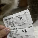 메리알동물병원 이미지