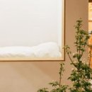 비앤비스테이 이미지