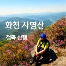 보송보송 | 화천(양구) 사명산 철쭉산행 등산코스 추천, 정상뷰, 주차 상세 후기