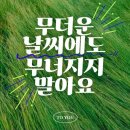숲속 의 짜장면 이미지