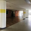 강림초등학교 이미지