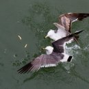 삼목선착장 이미지