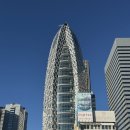 뽑고가리 이미지