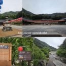 코다 | 동해 무릉계곡 무릉구곡 코스, 쉽다고 만만하게 봤다 큰코다친 쌍폭포 리얼 후기 (최신 입장료/주차 정보)