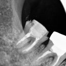 연세세이브치과의원 이미지