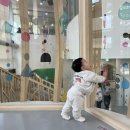 태인빌딩 | 5살, 10개월 아기와 어린이대공원/서울 상상나라 /서울실내 아기랑코스추천 + 맛집 추천