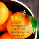 풍요 이미지