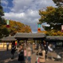 한국민속촌박물관 | 한국적인 느낌이 가득한 곳. 용인 한국민속촌 먹거리, 구경거리 솔직후기