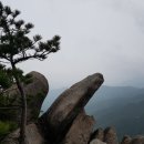 백운탕 Daum카페