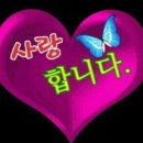 아량 - 김해시 | 아량