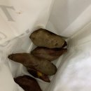 부동산써브상록수역공인중개사사무소 | 안산 '코리아부동산' 이용후기