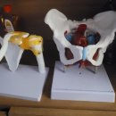 진실안마원 이미지