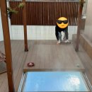 스테이odm고운 이미지