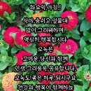 6월13일 화요일ㅡ6월들어 두번째 화요일 입니다 ㅡ 이미지