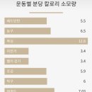 다윗복싱다이어트 이미지