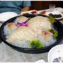 싱싱활어회센터