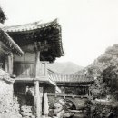 순천-59호 이미지