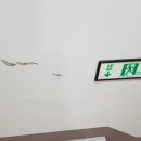 5·6호(2) 이미지