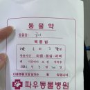 파우 동물병원 이미지