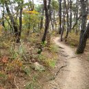 구미 아홉산(구곡산) 이미지