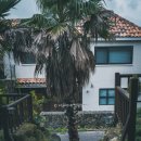 하논의 아침 이미지