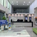 제주 가성비 렌트카 조이렌트카 셀토스 내돈내산 후기