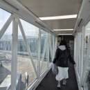 소나무한그루 | 여행 28주 임당산모 태교여행 / 우진해장국 / 베이커블 에그타르트 / 노형 소나무커피 / 제주돗 / 고등어회