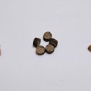 도그홀릭 이미지