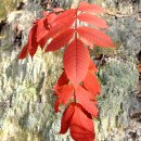 큰마을저수지 이미지